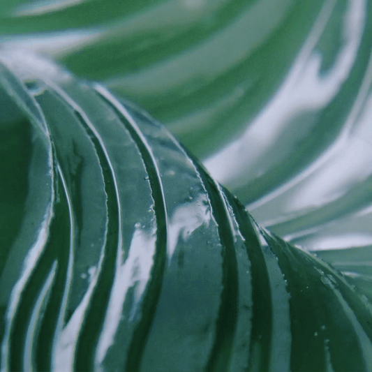 Texture of BACIEL Deep Sea Marine Complex 73 Eye Patch showing hydrating hydrogel surface